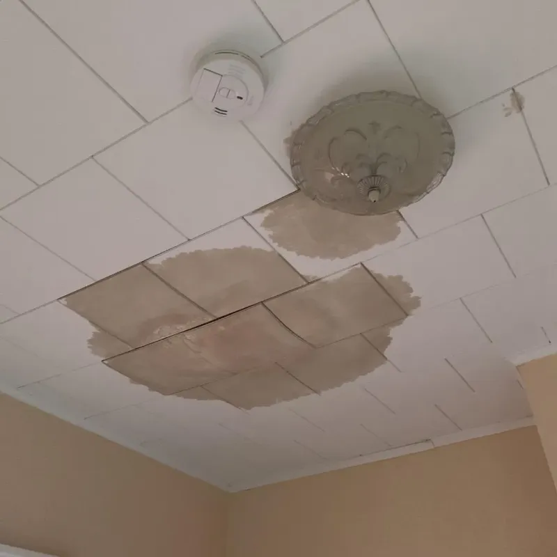 Ceiling Water Damage Repair in Linton, ND