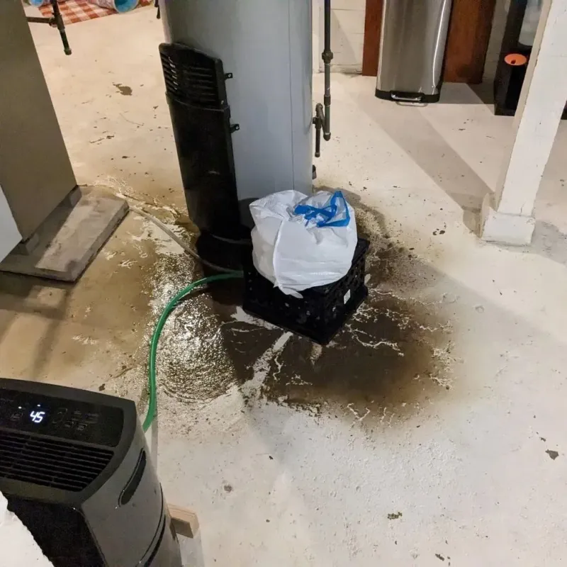 Sewage Backup Cleanup Service in Linton, ND